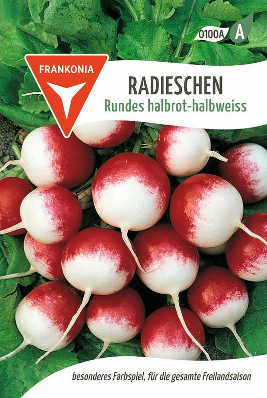 Vorderseite der Verpackung des Saatgutes Radies, Rundes halbrot- halbweiss der Firma Frankonia Samen von ihrgartenberater.de