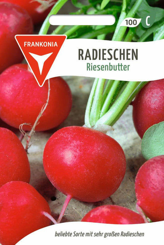 Vorderseite der Verpackung des Saatgutes Radies, Riesenbutter Kleinpackung der Firma Frankonia Samen von ihrgartenberater.de