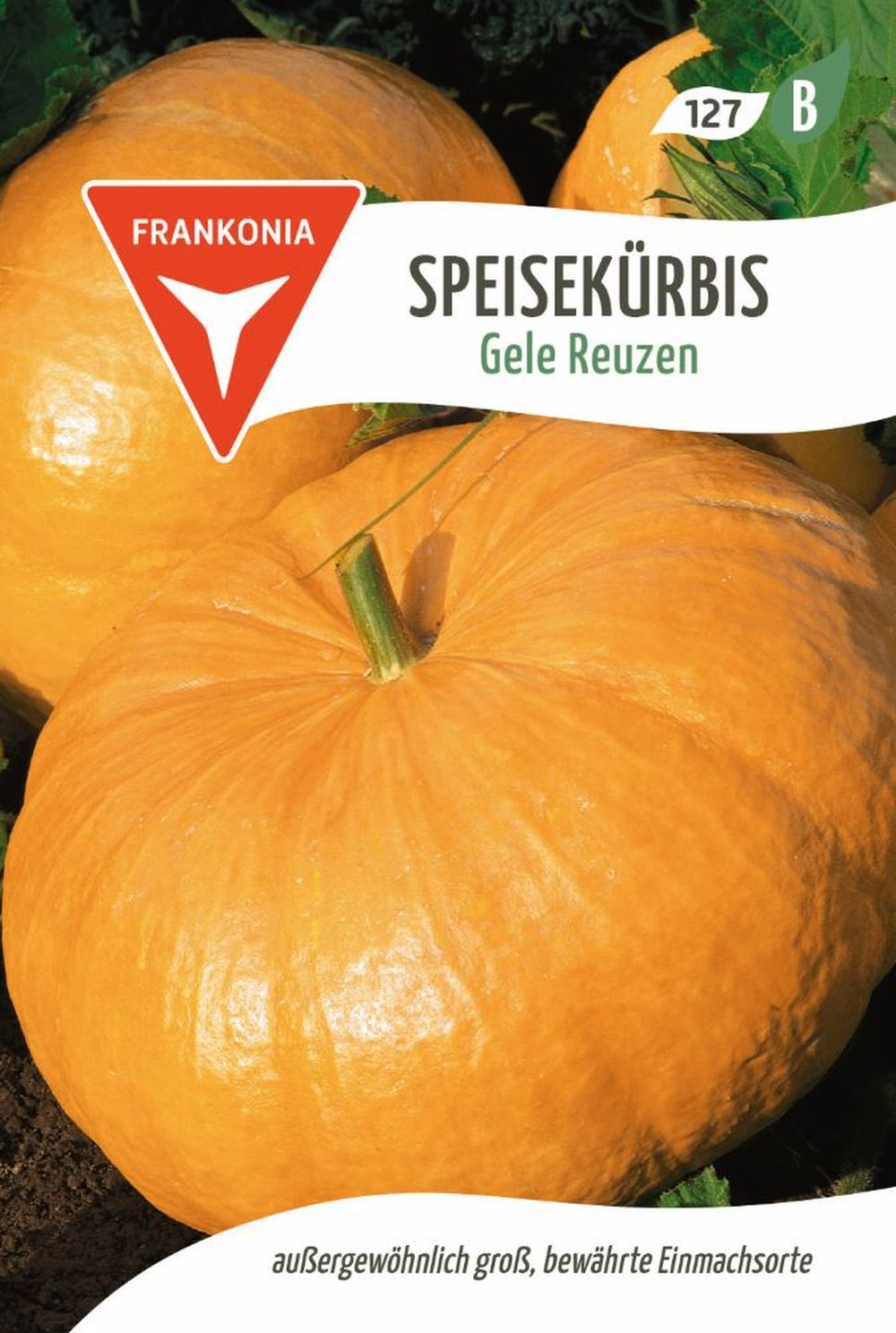 Vorderseite der Verpackung des Saatgutes Speisekürbis, Gele Reuzen der Firma Frankonia Samen von ihrgartenberater.de