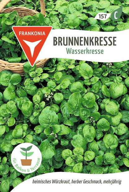 Vorderseite der Verpackung des Saatgutes Brunnenkresse, Wasserkresse der Firma Frankonia Samen von ihrgartenberater.de