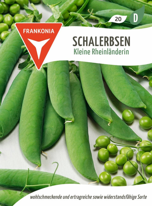 Vorderseite der Verpackung des Saatgutes Schalerbse, Kleine Rheinländerin der Firma Frankonia Samen von ihrgartenberater.de