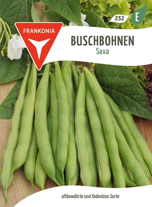 Vorderseite der Verpackung des Saatgutes Buschbohne, Saxa der Firma Frankonia Samen von ihrgartenberater.de