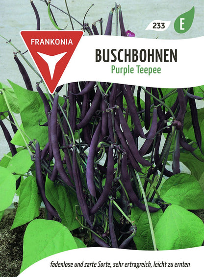 Vorderseite der Verpackung des Saatgutes Buschbohne, Purple Teepee der Firma Frankonia Samen von ihrgartenberater.de
