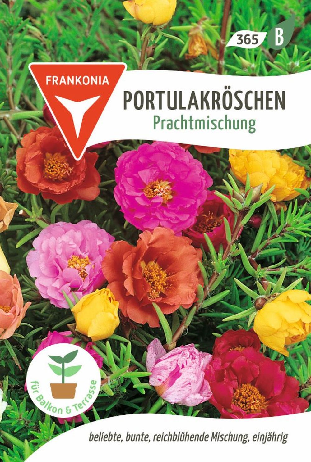 Vorderseite der Verpackung des Saatgutes Portulakröschen, Prachtmischung der Firma Frankonia Samen von ihrgartenberater.de