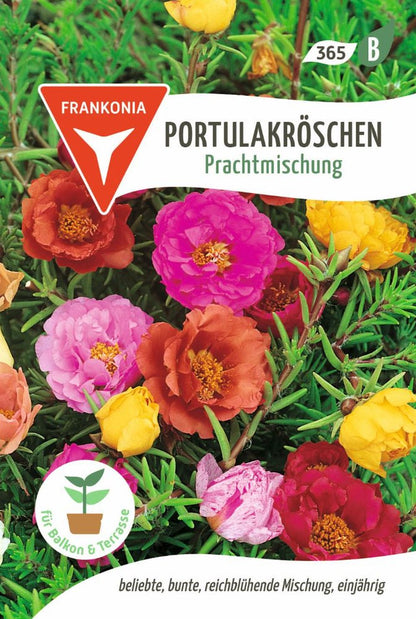 Vorderseite der Verpackung des Saatgutes Portulakröschen, Prachtmischung der Firma Frankonia Samen von ihrgartenberater.de