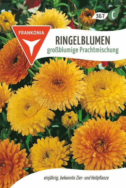 Vorderseite der Verpackung des Saatgutes Ringelblume,  großblumige Prachtmischung der Firma Frankonia Samen von ihrgartenberater.de