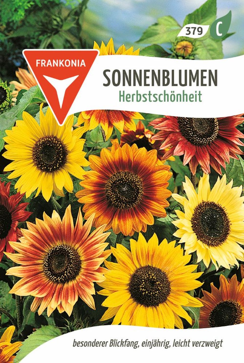 Vorderseite der Verpackung des Saatgutes Sonnenblume, Herbstschönheit der Firma Frankonia Samen von ihrgartenberater.de