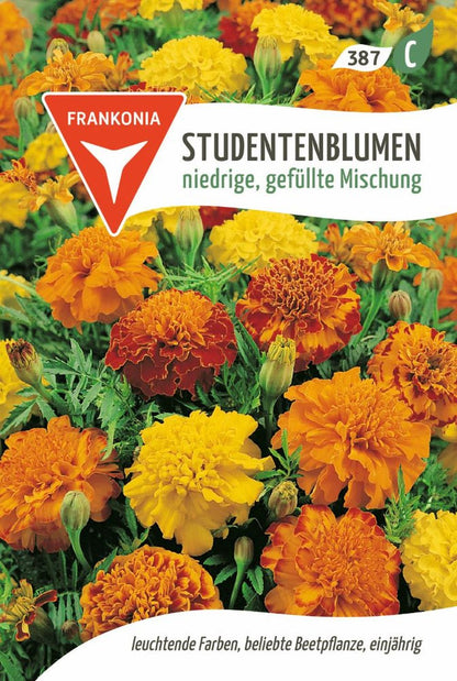 Vorderseite der Verpackung des Saatgutes Studentenblume, niedrige, gefüllte Mischung der Firma Frankonia Samen von ihrgartenberater.de