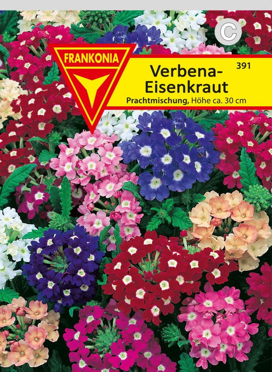 Vorderseite der Verpackung des Saatgutes Eisenkraut (Verbena), Prachtmischung der Firma Frankonia Samen von ihrgartenberater.de