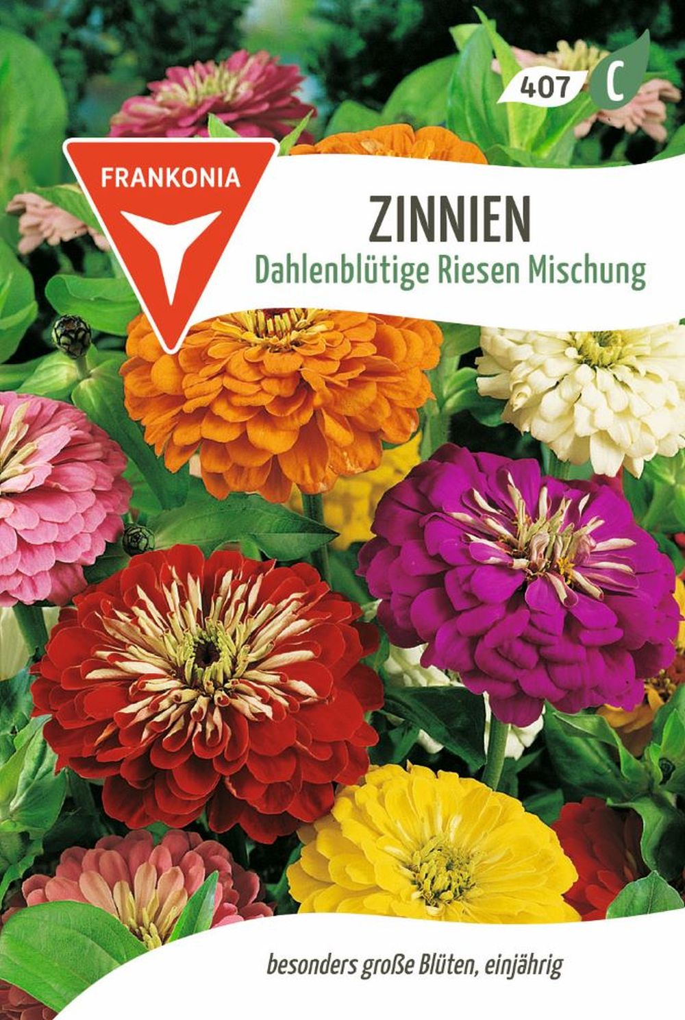 Vorderseite der Verpackung des Saatgutes Zinnie, Dahlienblütige Riesen Mischung der Firma Frankonia Samen von ihrgartenberater.de