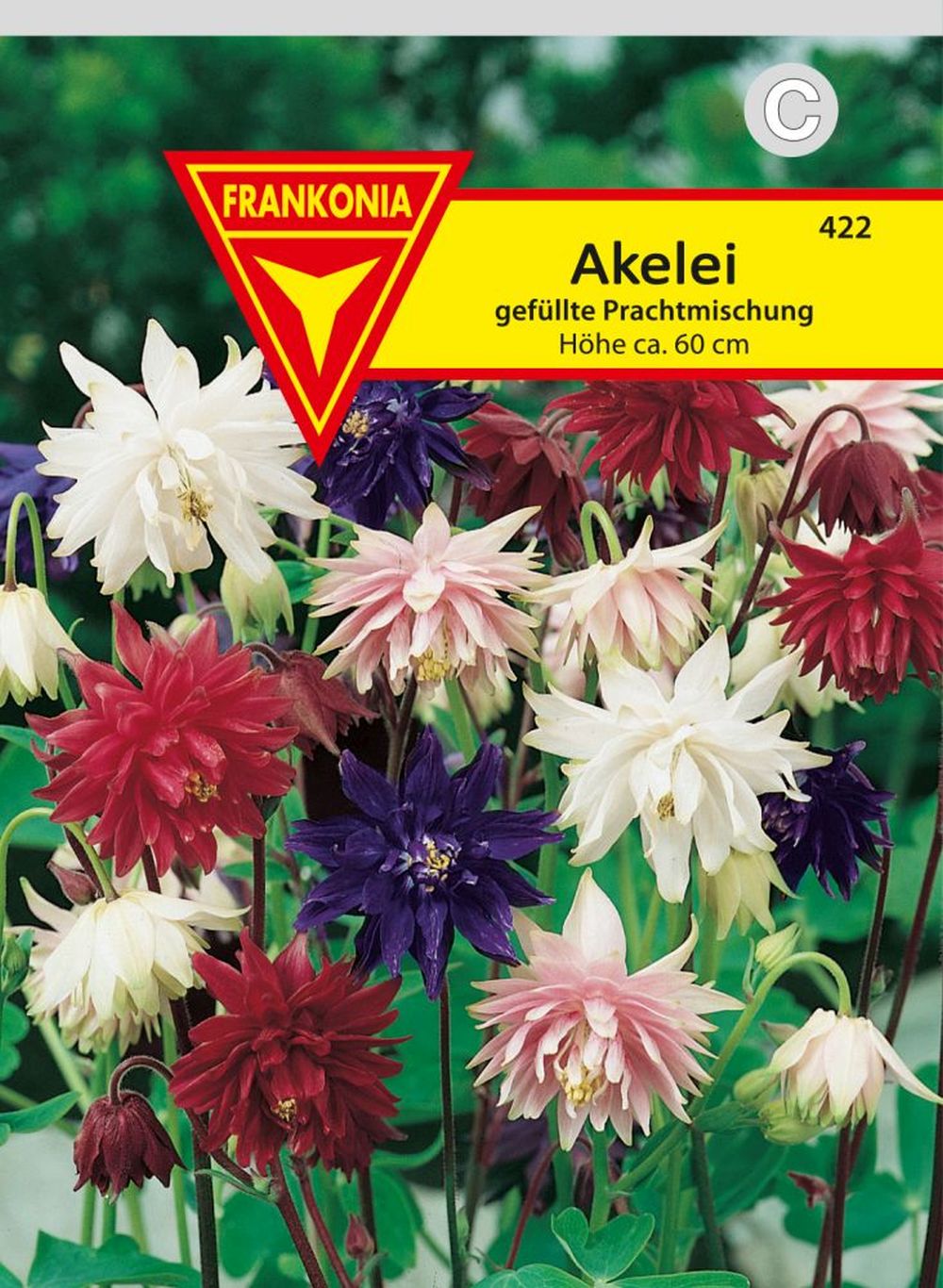 Vorderseite der Verpackung des Saatgutes Akelei (Aquilegia),  gefüllte Mischung der Firma Frankonia Samen von ihrgartenberater.de