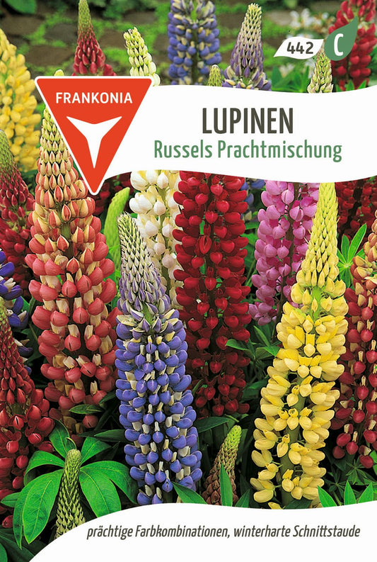 Vorderseite der Verpackung des Saatgutes Lupine, Russels Prachtmischung der Firma Frankonia Samen von ihrgartenberater.de