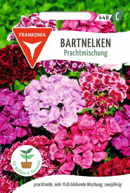 Vorderseite der Verpackung des Saatgutes Bartnelken, Prachtmischung der Firma Frankonia Samen von ihrgartenberater.de