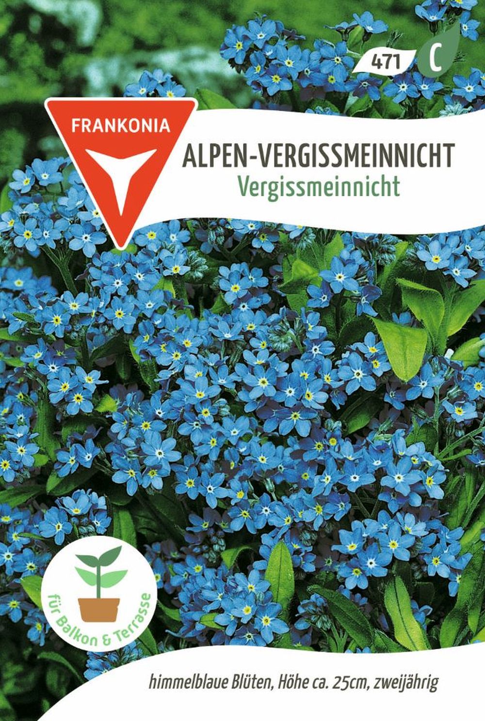 Vorderseite der Verpackung des Saatgutes Alpen-Vergissmeinnicht, Vergissmeinnicht der Firma Frankonia Samen von ihrgartenberater.de