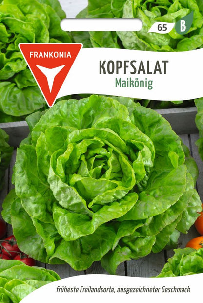 Vorderseite der Verpackung des Saatgutes Kopfsalat, Maikönig der Firma Frankonia Samen von ihrgartenberater.de