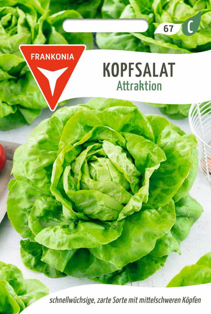 Vorderseite der Verpackung des Saatgutes Kopfsalat, Attraktion Kleinpackung der Firma Frankonia Samen von ihrgartenberater.de