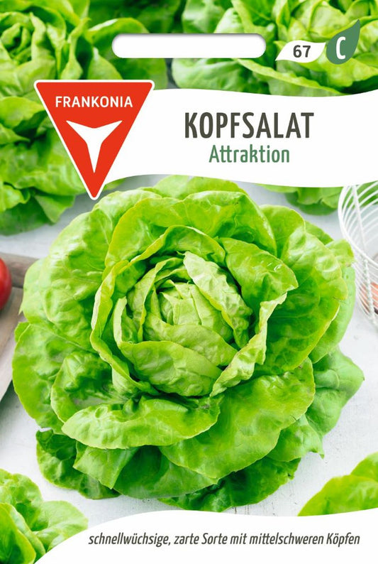 Vorderseite der Verpackung des Saatgutes Kopfsalat, Attraktion Kleinpackung der Firma Frankonia Samen von ihrgartenberater.de