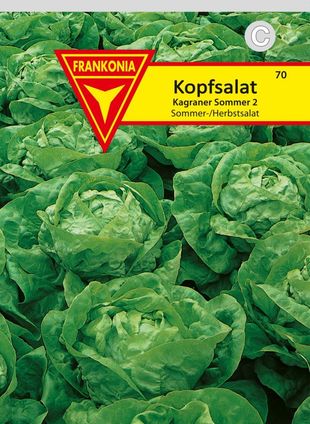 Vorderseite der Verpackung des Saatgutes Kopfsalat, Kagraner Sommer 2 der Firma Frankonia Samen von ihrgartenberater.de