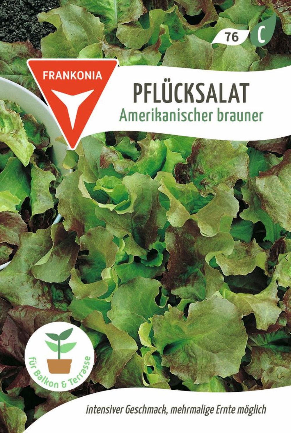 Vorderseite der Verpackung des Saatgutes Pflücksalat, Amerikanischer brauner der Firma Frankonia Samen von ihrgartenberater.de