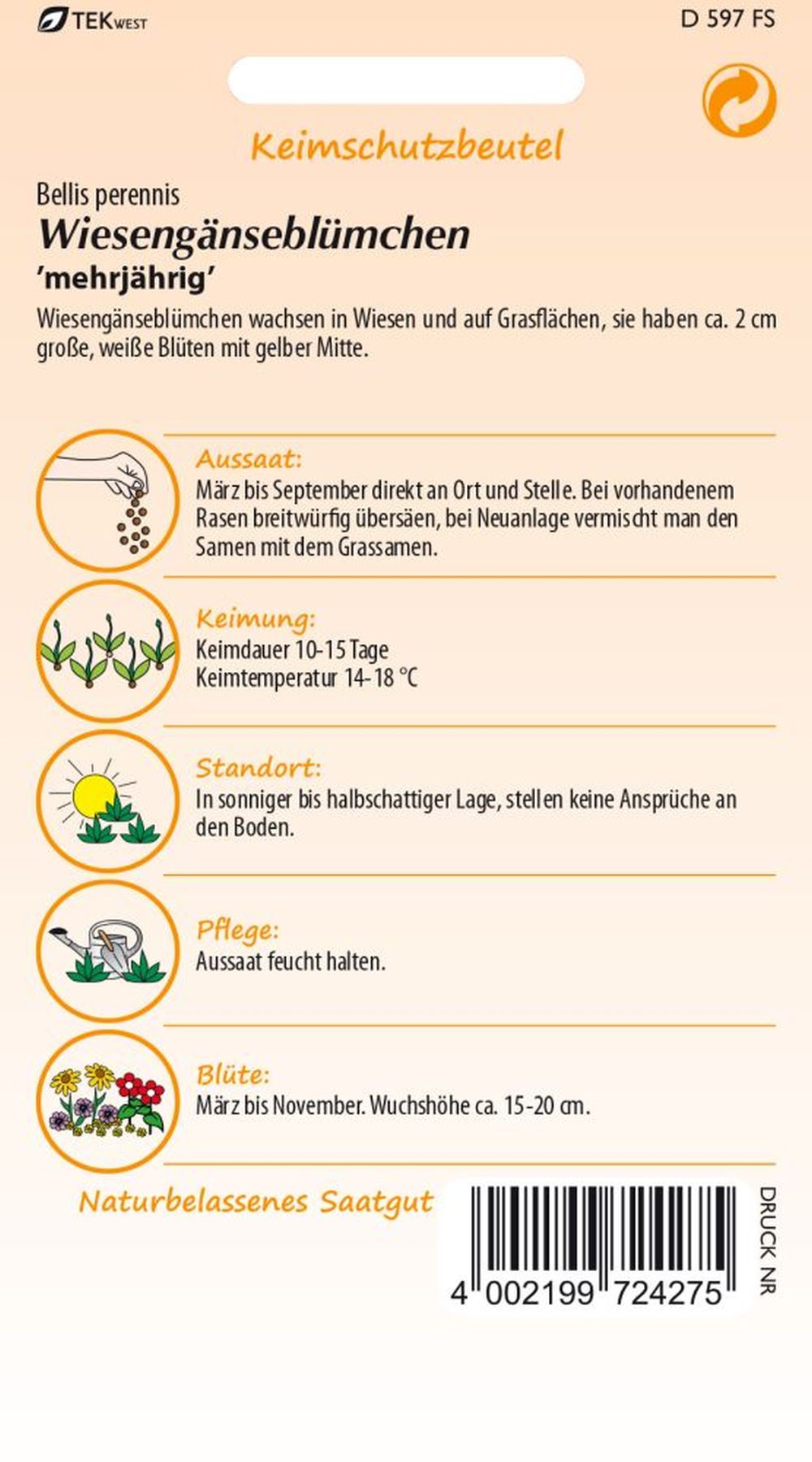 Rückseite der Verpackung des Saatgutes Gänseblümchen, Wiesengänseblümchen der Firma Samen Pfann von ihrgartenberater.de