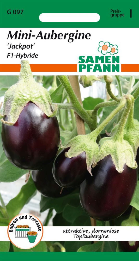 Vorderseite der Verpackung des Saatgutes Aubergine, Mini-Aubergine, Jackpot F1 der Firma Samen Pfann von ihrgartenberater.de