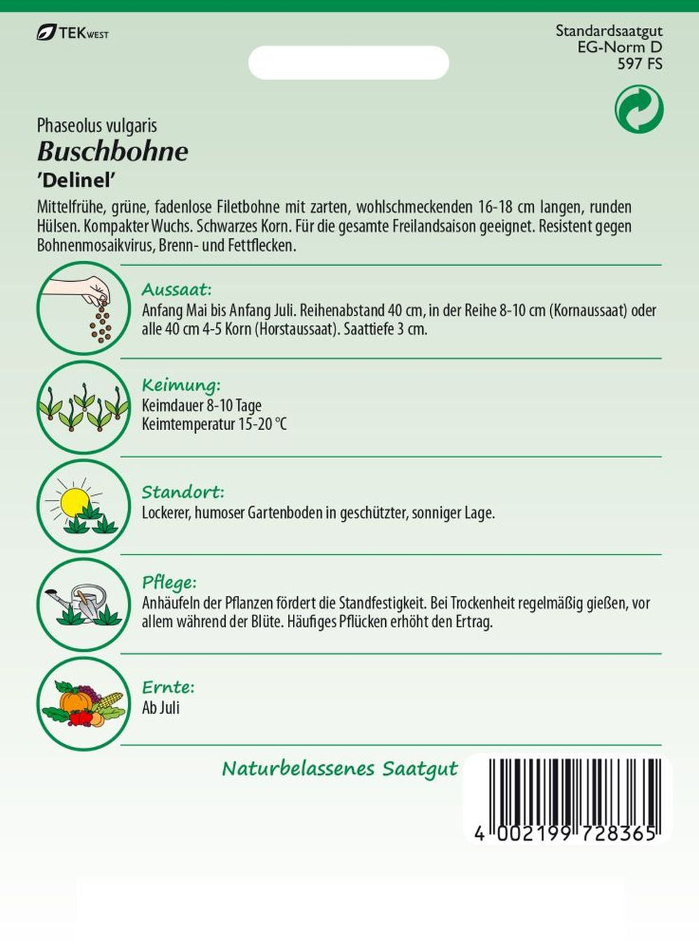 Rückseite der Verpackung des Saatgutes Buschbohne, Delinel der Firma Samen Pfann von ihrgartenberater.de