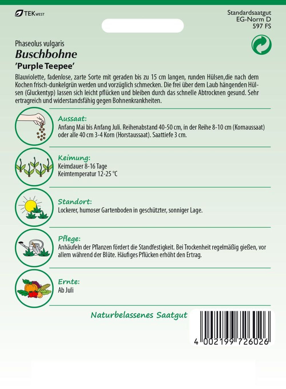 Rückseite der Verpackung des Saatgutes Buschbohne, Purple Teepee der Firma Samen Pfann von ihrgartenberater.de