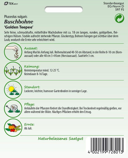 Rückseite der Verpackung des Saatgutes Buschbohne, Golden Teepee der Firma Samen Pfann von ihrgartenberater.de