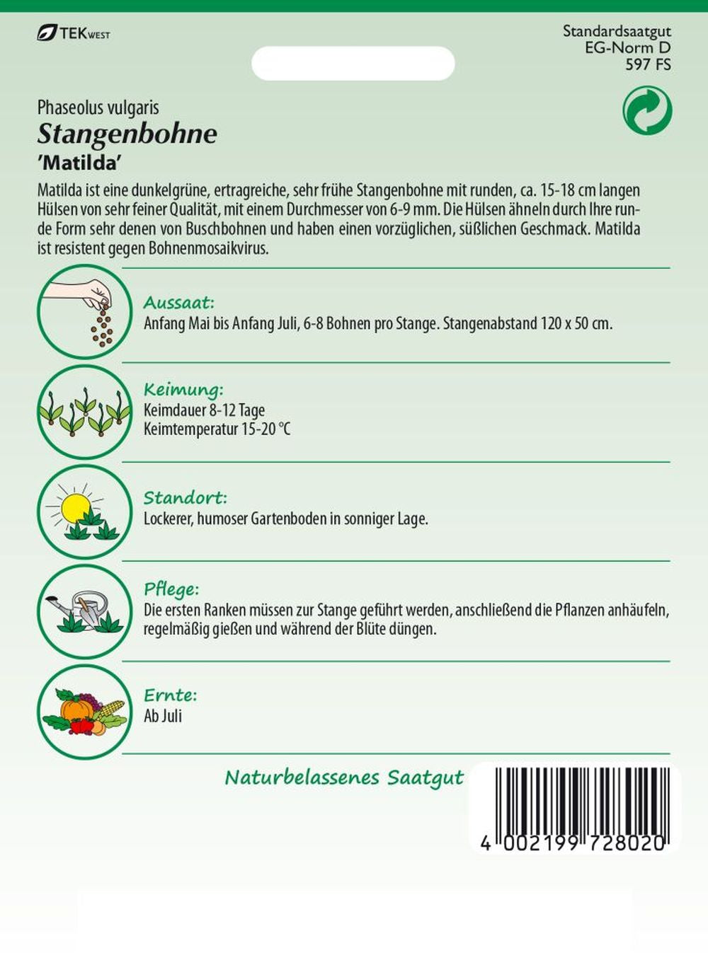 Rückseite der Verpackung des Saatgutes Stangenbohne, Matilda der Firma Samen Pfann von ihrgartenberater.de