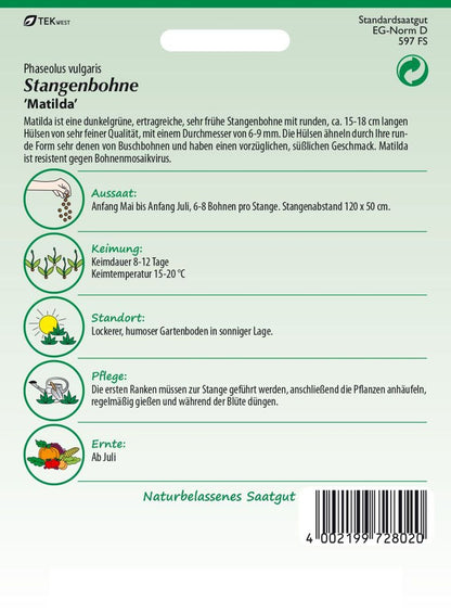 Rückseite der Verpackung des Saatgutes Stangenbohne, Matilda der Firma Samen Pfann von ihrgartenberater.de