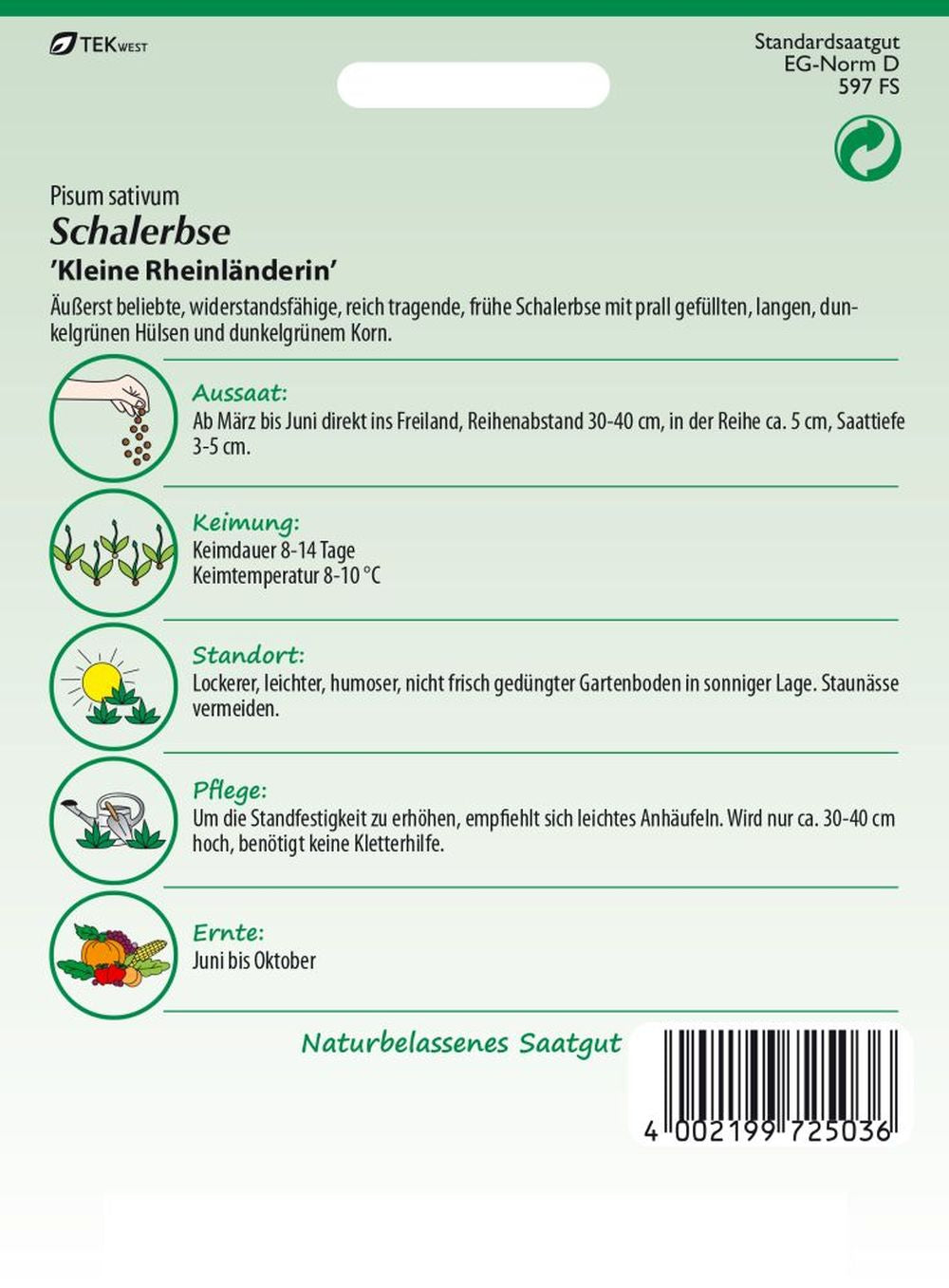 Rückseite der Verpackung des Saatgutes Schalerbse, Kleine Rheinländerin der Firma Samen Pfann von ihrgartenberater.de