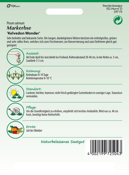 Rückseite der Verpackung des Saatgutes Markerbse, Wunder von Kelvedon der Firma Samen Pfann von ihrgartenberater.de