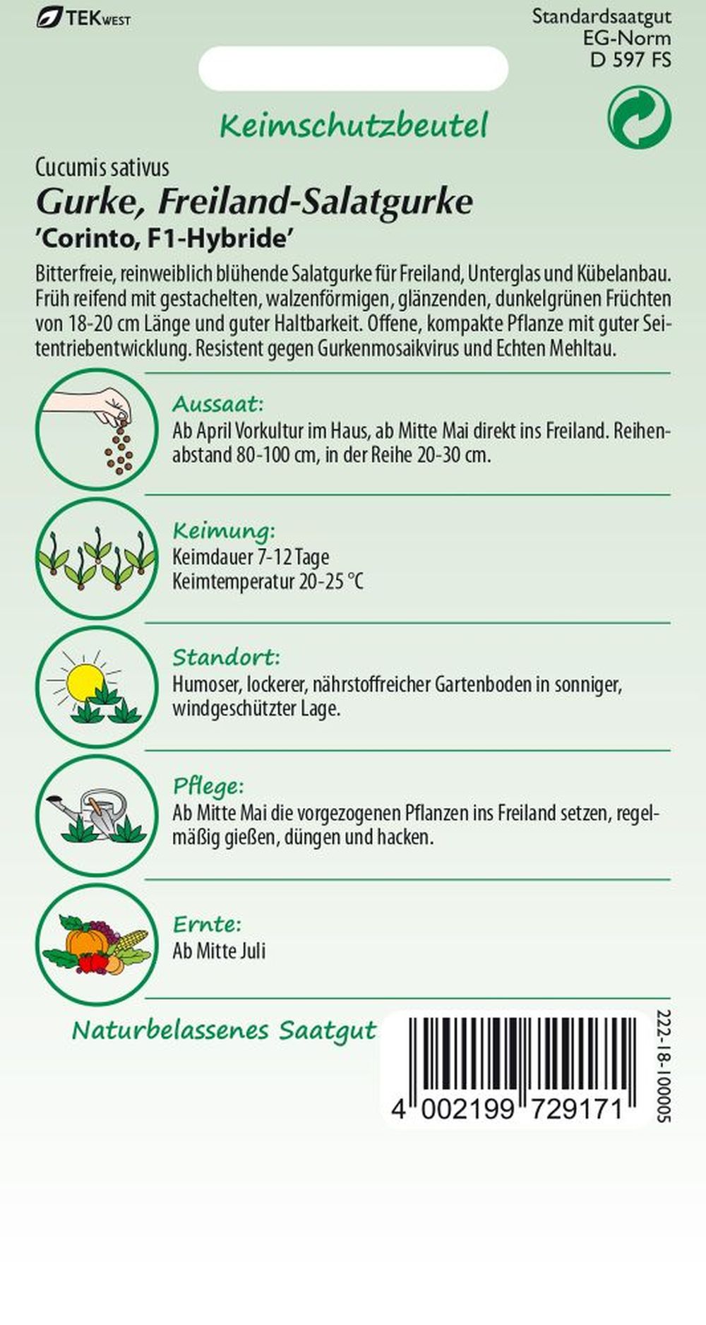 Rückseite der Verpackung des Saatgutes Salatgurke, Freiland-Salatgurke, Corinto F1 der Firma Samen Pfann von ihrgartenberater.de