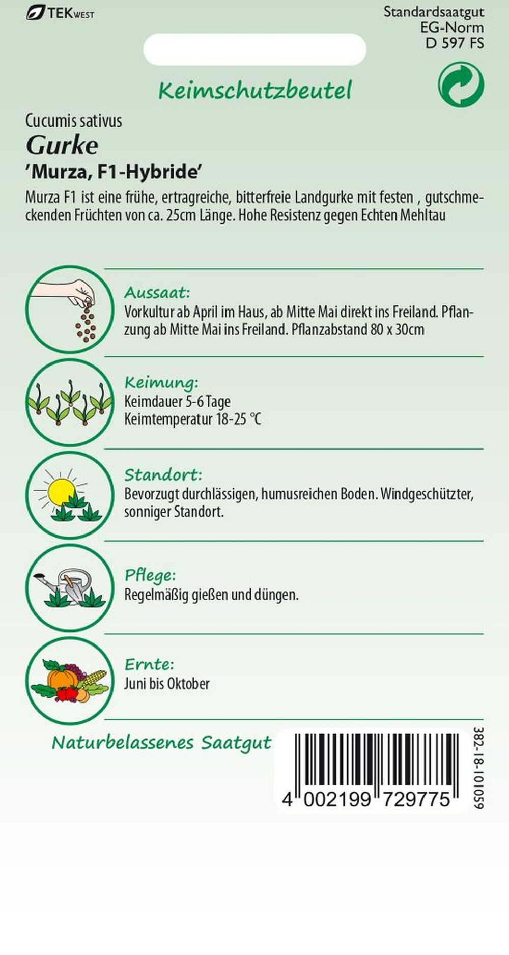 Rückseite der Verpackung des Saatgutes Gurke, Murza F1, Landgurke, bitterfrei der Firma Samen Pfann von ihrgartenberater.de