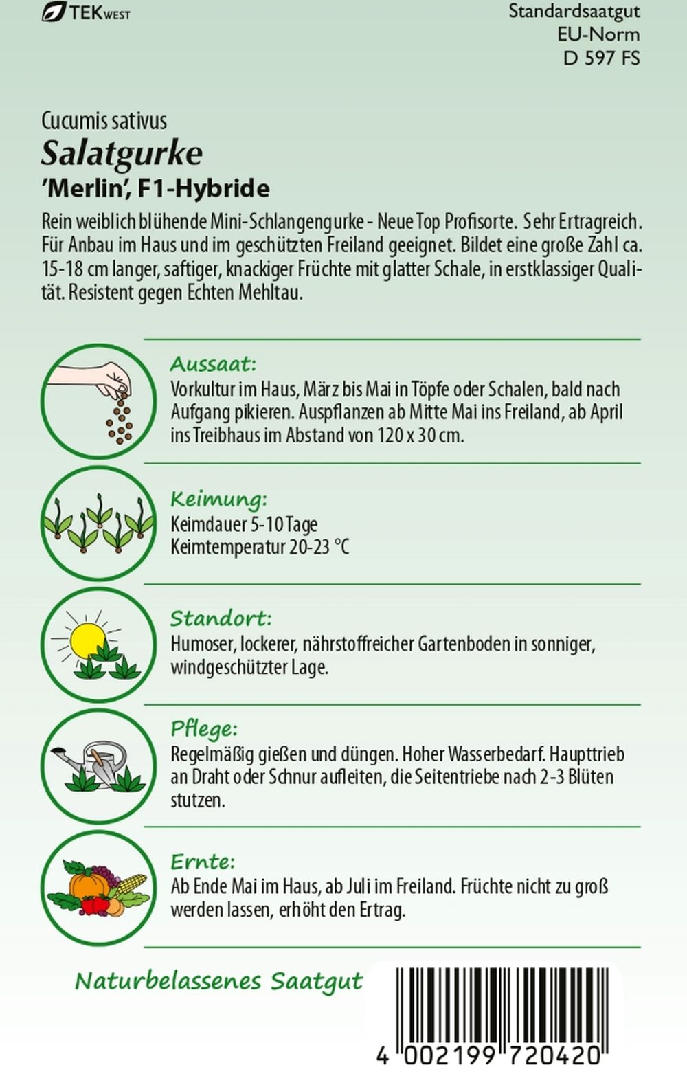 Rückseite der Verpackung des Saatgutes Salatgurke, Merlin F1 der Firma Samen Pfann von ihrgartenberater.de