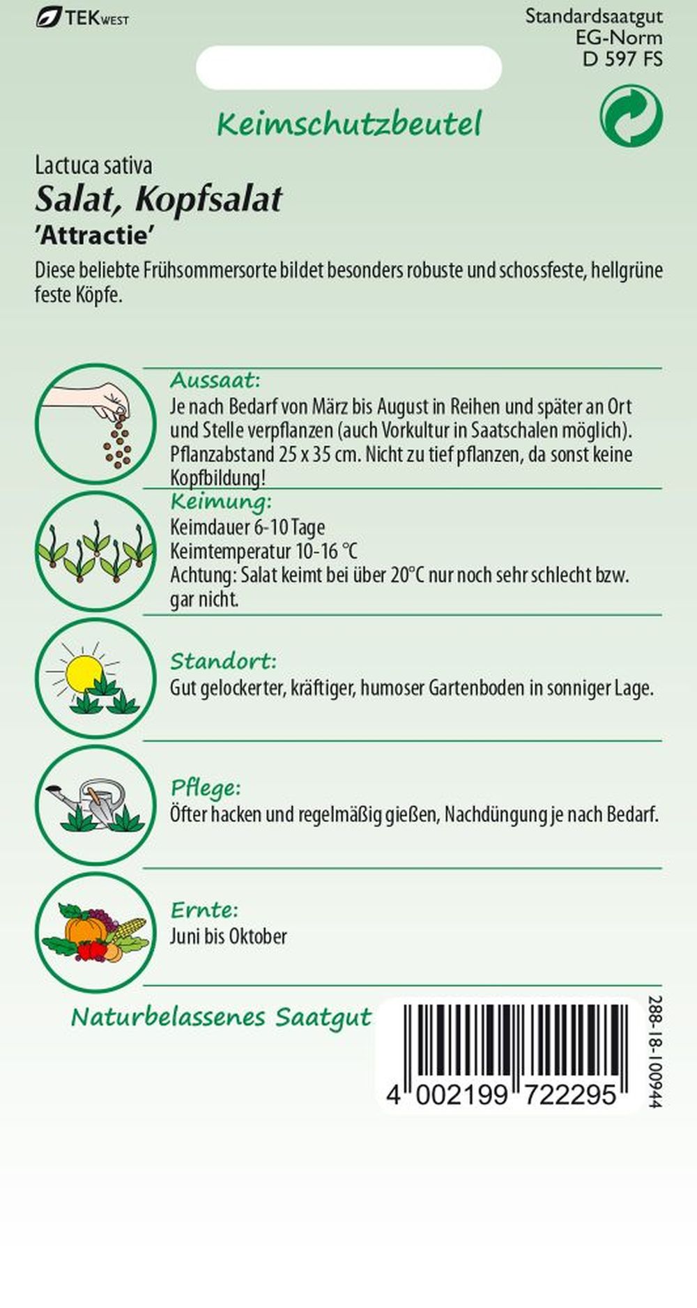 Rückseite der Verpackung des Saatgutes Kopfsalat, Attraktion Kleinpackung der Firma Samen Pfann von ihrgartenberater.de