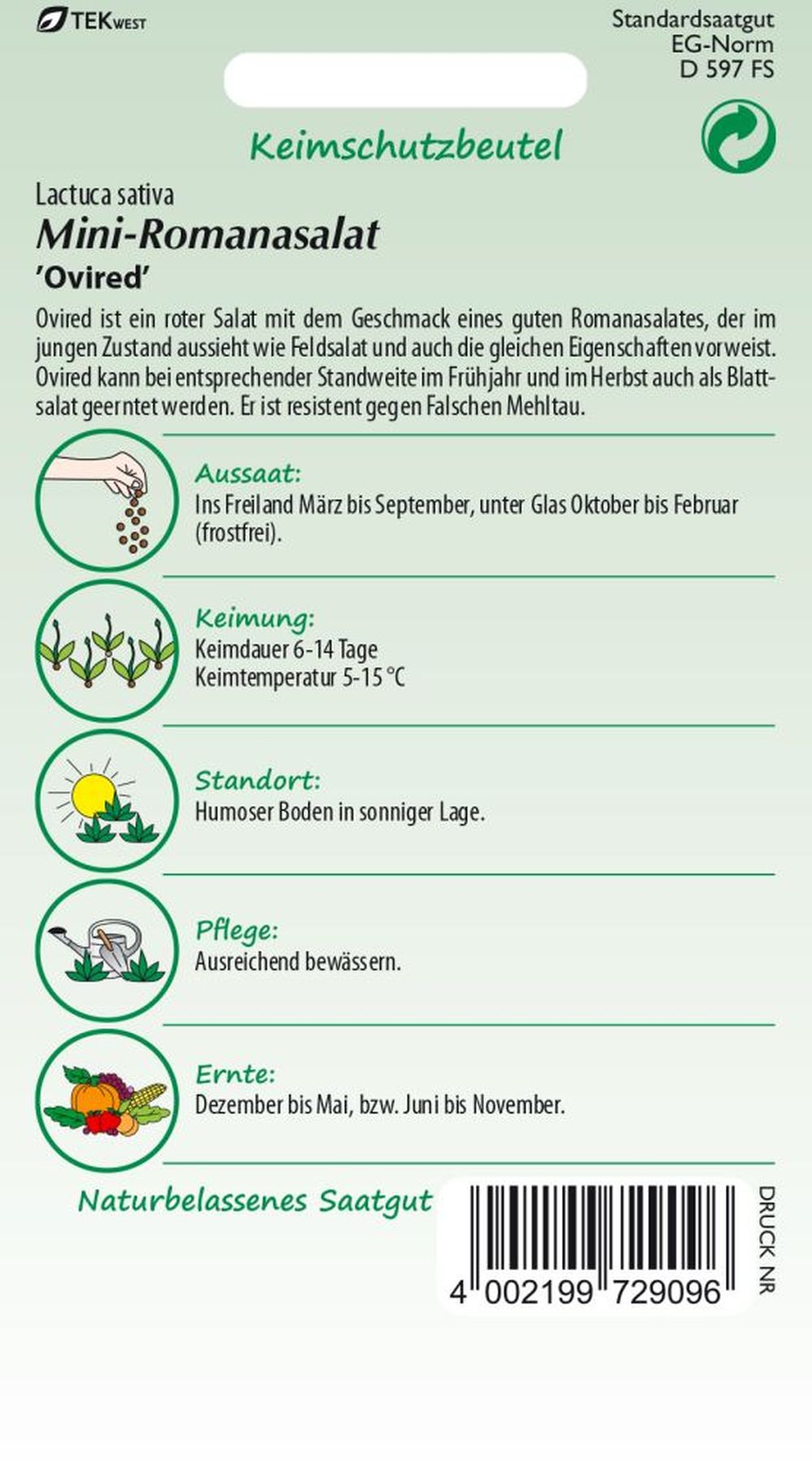 Rückseite der Verpackung des Saatgutes Romanasalat, Ovired der Firma Samen Pfann von ihrgartenberater.de