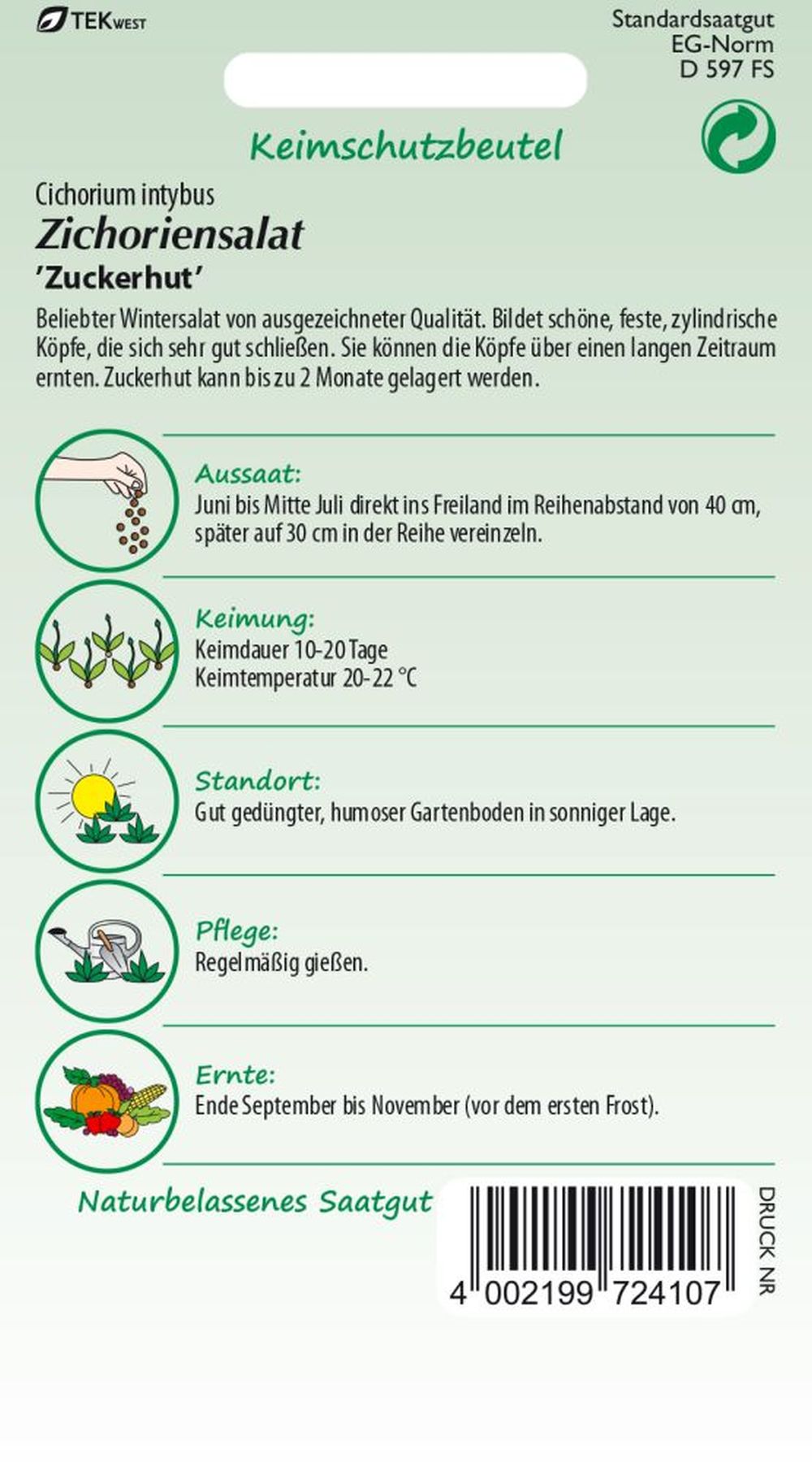 Rückseite der Verpackung des Saatgutes Zichoriensalat, Zuckerhut der Firma Samen Pfann von ihrgartenberater.de