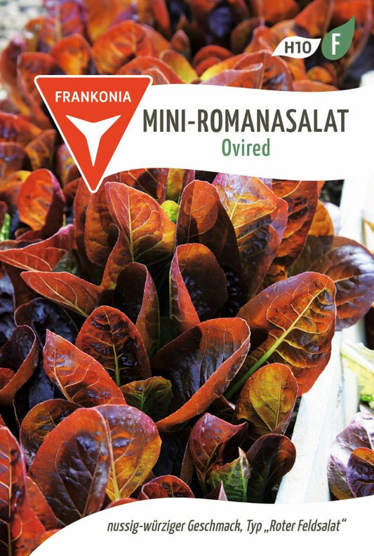 Vorderseite der Verpackung des Saatgutes Mini-Romanasalat, Ovired der Firma Frankonia Samen von ihrgartenberater.de