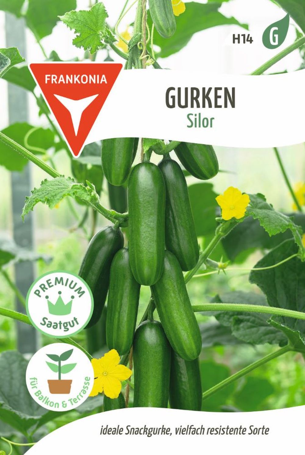 Vorderseite der Verpackung des Saatgutes Gurke, Silor F1 der Firma Frankonia Samen von ihrgartenberater.de