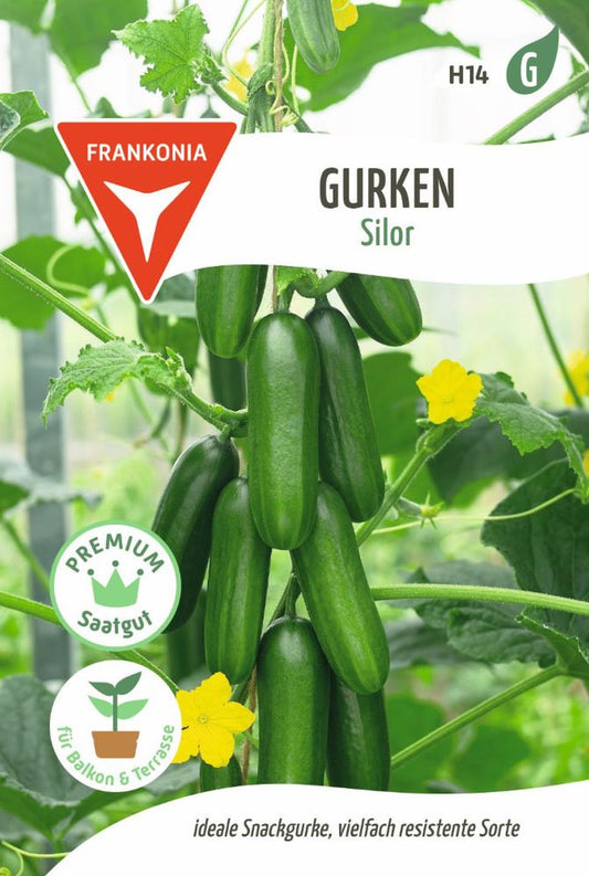 Vorderseite der Verpackung des Saatgutes Gurke, Silor F1 der Firma Frankonia Samen von ihrgartenberater.de