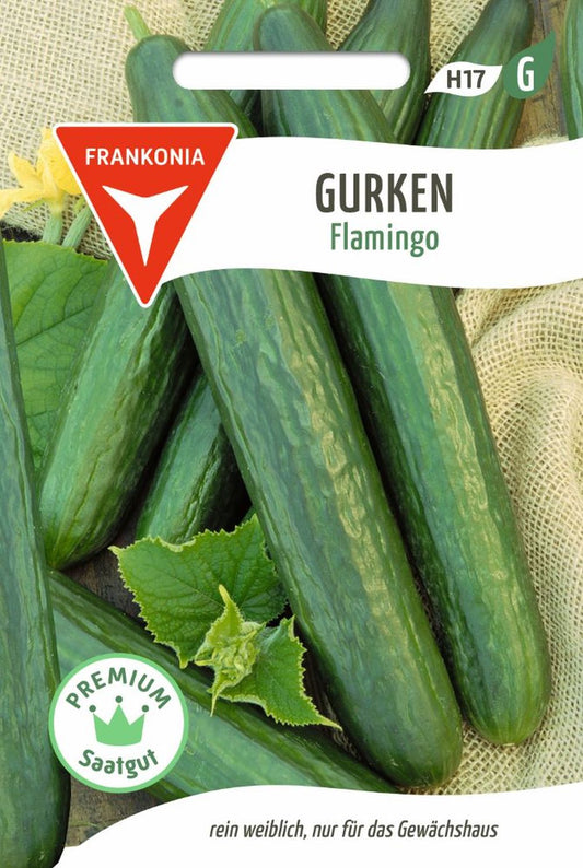 Vorderseite der Verpackung des Saatgutes Salatgurke, Flamingo F1 der Firma Frankonia Samen von ihrgartenberater.de