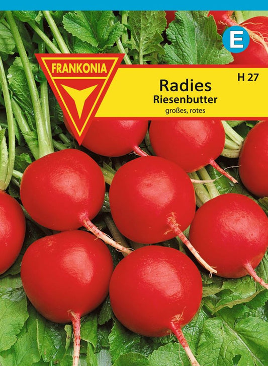 Vorderseite der Verpackung des Saatgutes Radies, Riesenbutter Großpackung der Firma Frankonia Samen von ihrgartenberater.de