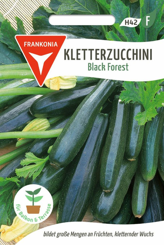 Vorderseite der Verpackung des Saatgutes Kletterzucchini, Black Forest F1 der Firma Frankonia Samen von ihrgartenberater.de