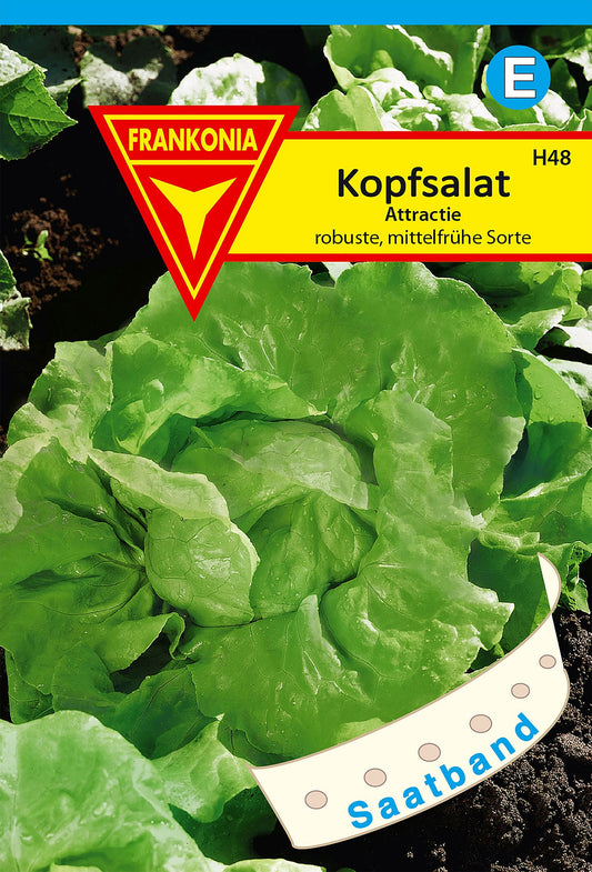 Vorderseite der Verpackung des Saatgutes Kopfsalat, Attraktion Saatband der Firma Frankonia Samen von ihrgartenberater.de