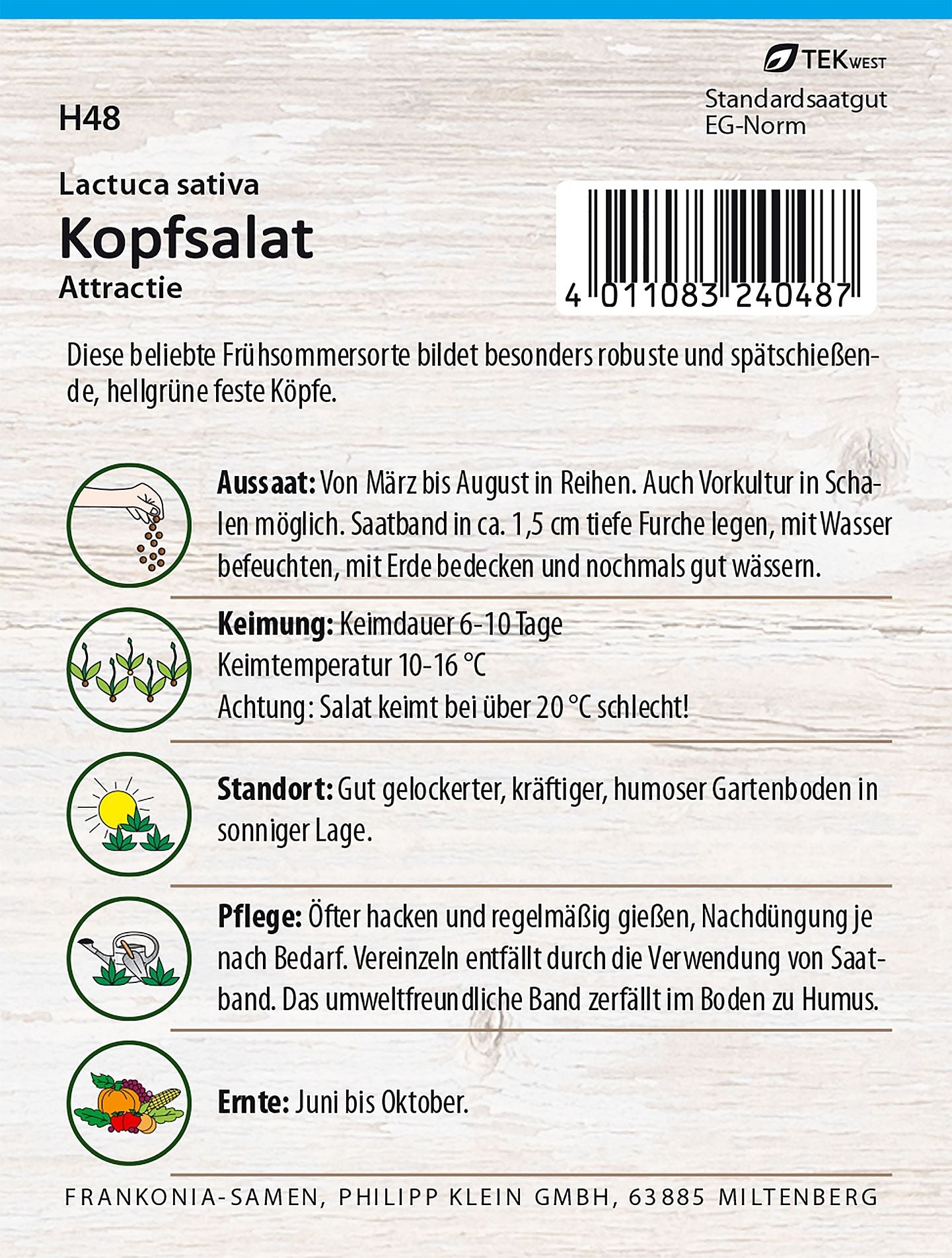 Rückseite der Verpackung des Saatgutes Kopfsalat, Attraktion Saatband der Firma Frankonia Samen von ihrgartenberater.de