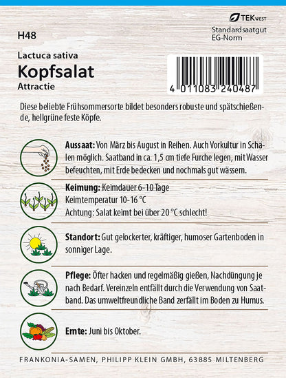 Rückseite der Verpackung des Saatgutes Kopfsalat, Attraktion Saatband der Firma Frankonia Samen von ihrgartenberater.de