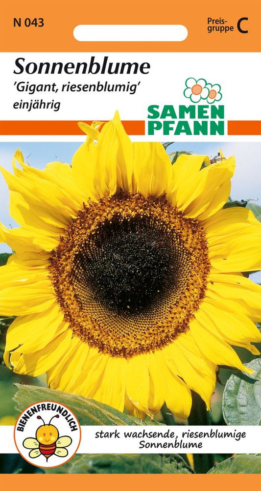 Vorderseite der Verpackung des Saatgutes Sonnenblume, Gigant der Firma Samen Pfann von ihrgartenberater.de