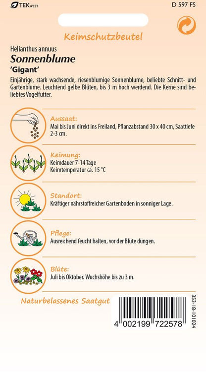 Rückseite der Verpackung des Saatgutes Sonnenblume, Gigant der Firma Samen Pfann von ihrgartenberater.de