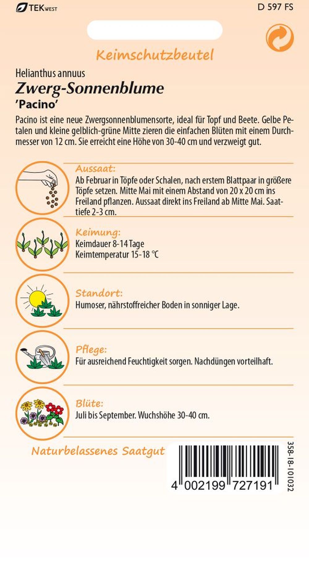 Rückseite der Verpackung des Saatgutes Sonnenblume, Zwergsonnenblume, Pacino der Firma Samen Pfann von ihrgartenberater.de